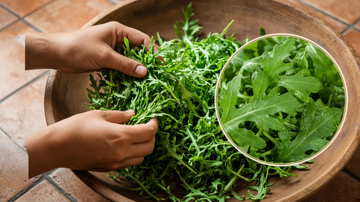 Arúgula en un contexto alimentario cotidiano