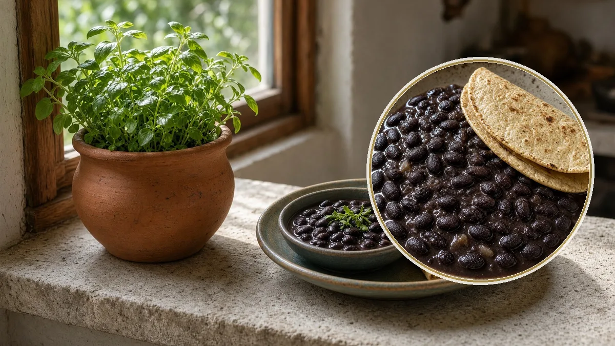 Planta junto a un plato con frijol y tortilla. En primer plano, el plato, heterótrofo que come.